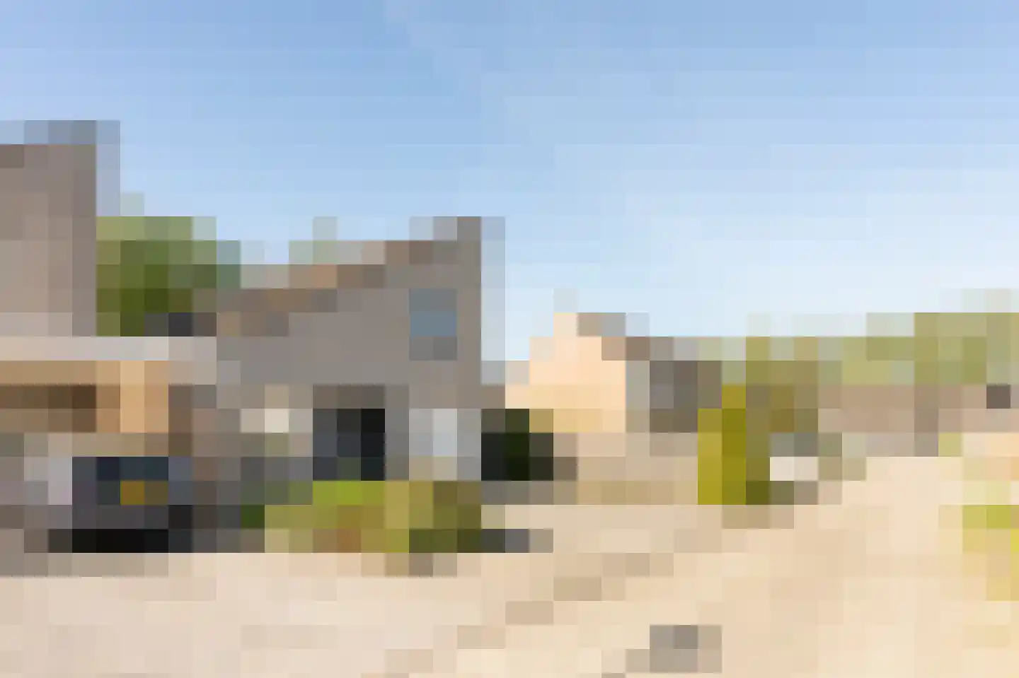 Oeverzwaluw 30 Emmen thumbnail 28