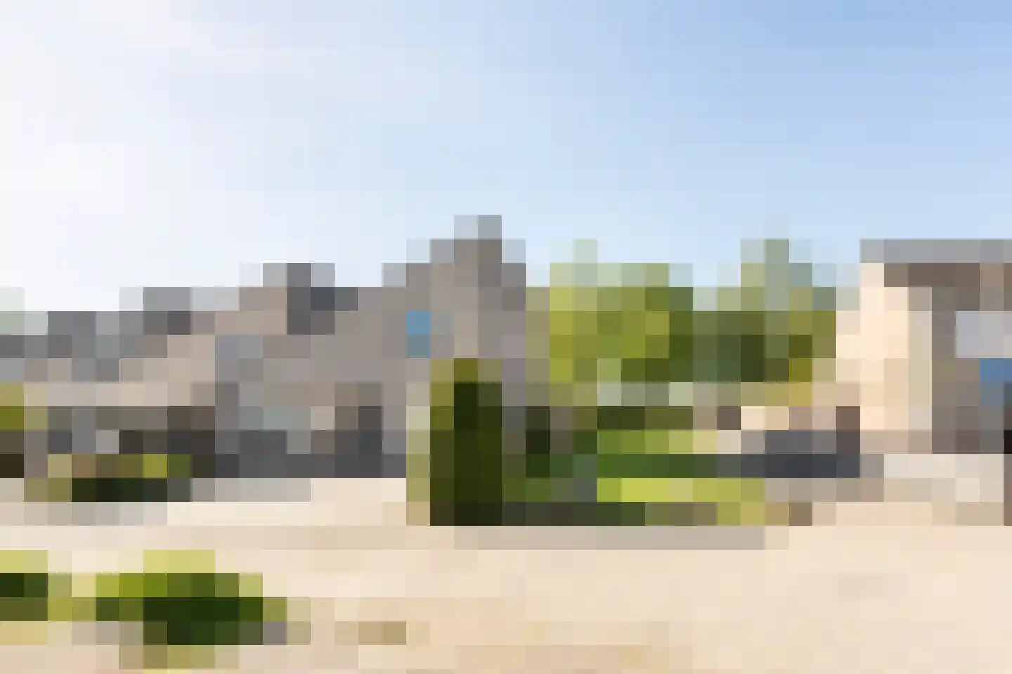 Oeverzwaluw 30 Emmen thumbnail 29