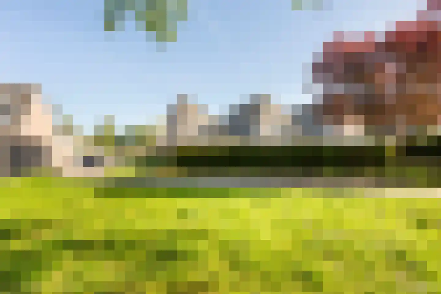 Oeverzwaluw 30 Emmen thumbnail 30