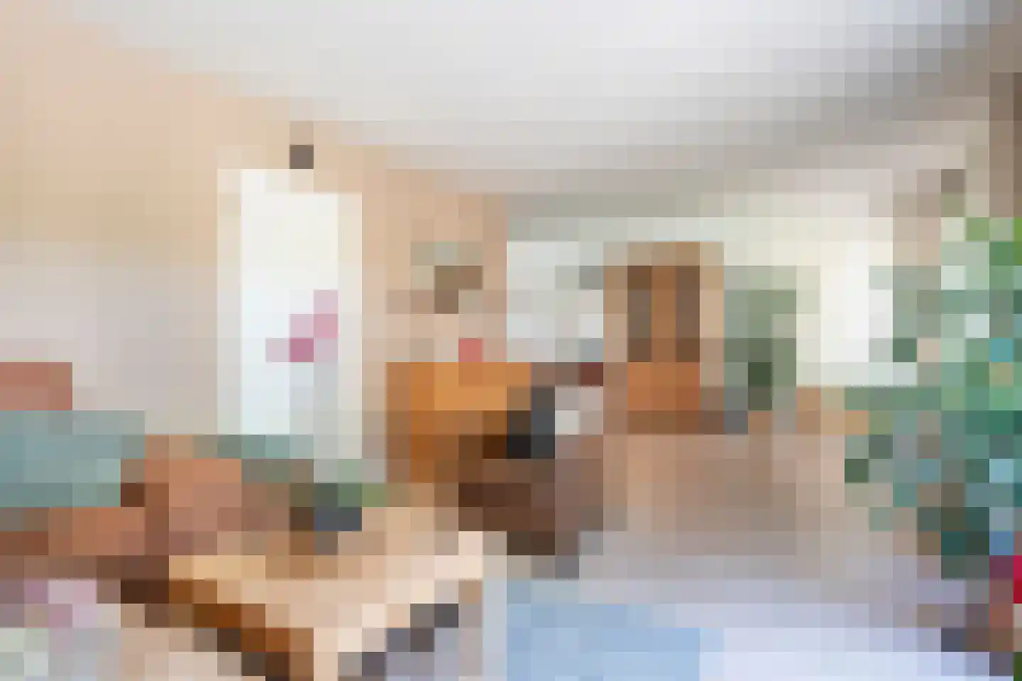 Oeverzwaluw 30 Emmen thumbnail 6