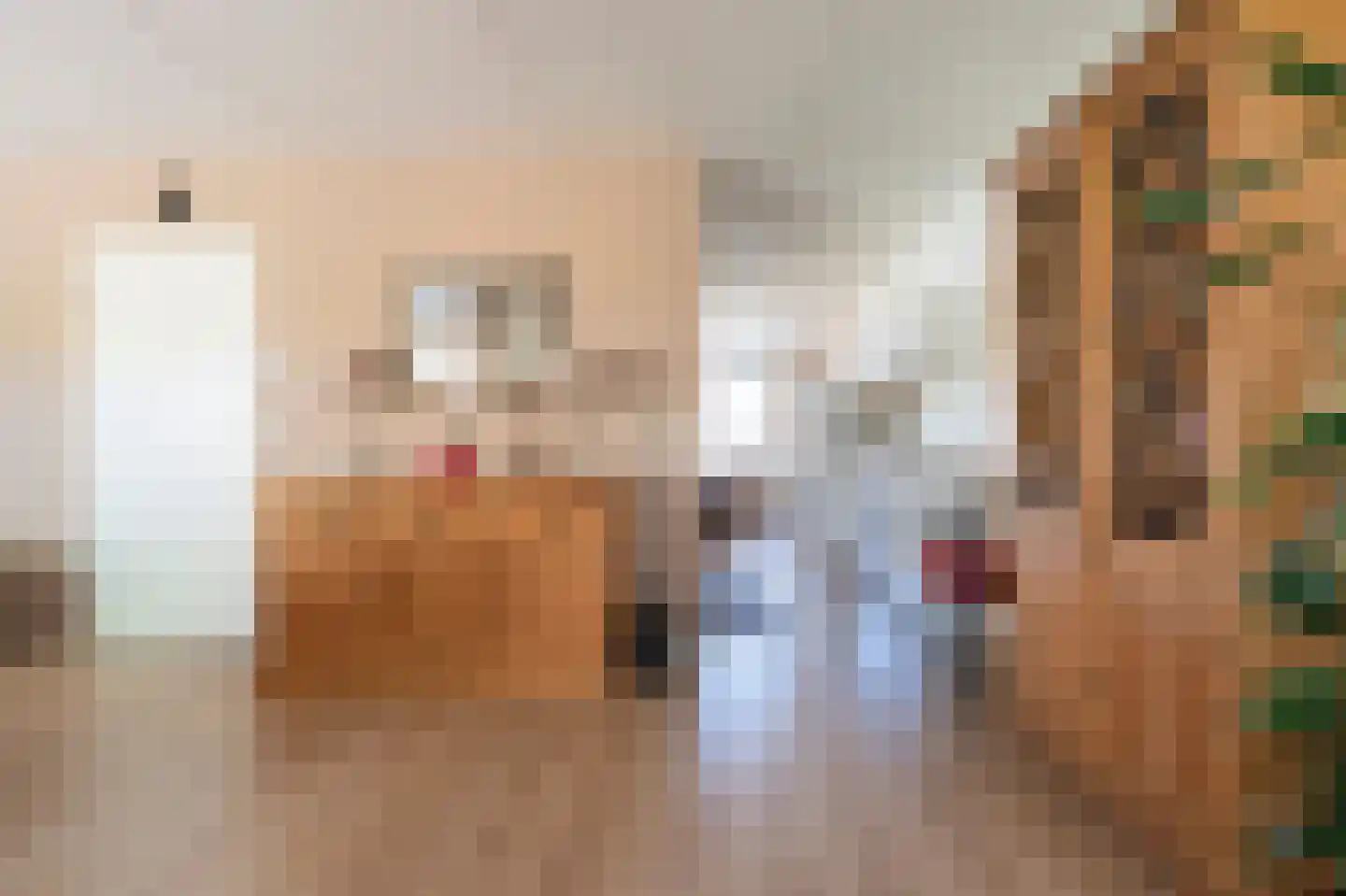 Oeverzwaluw 30 Emmen thumbnail 9