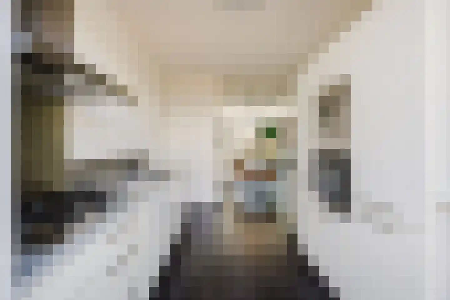 Oeverzwaluw 36 Goirle thumbnail 11