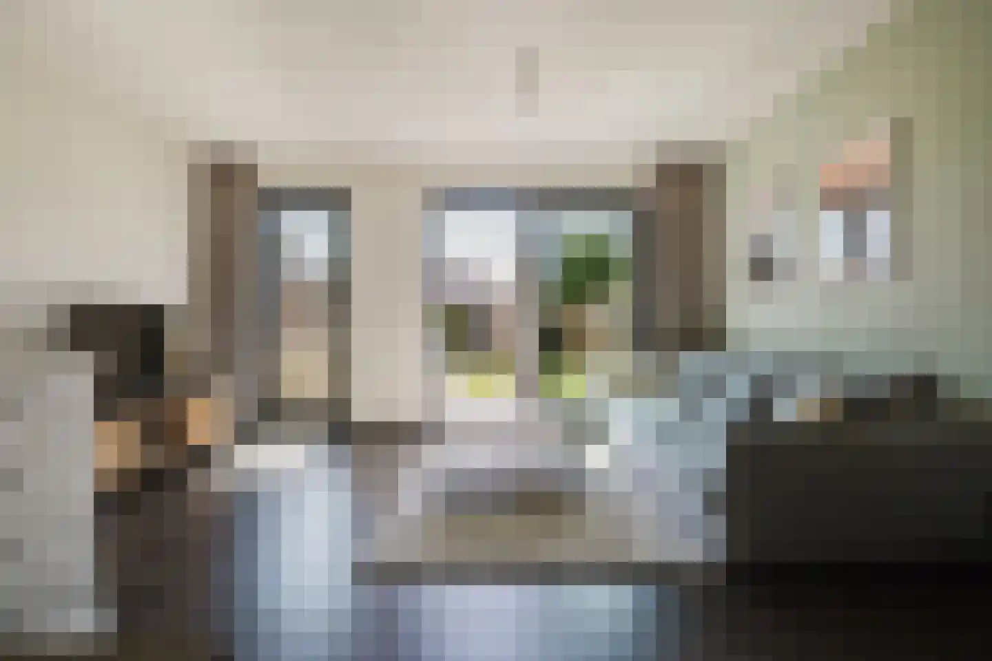 Oeverzwaluw 36 Goirle thumbnail 16