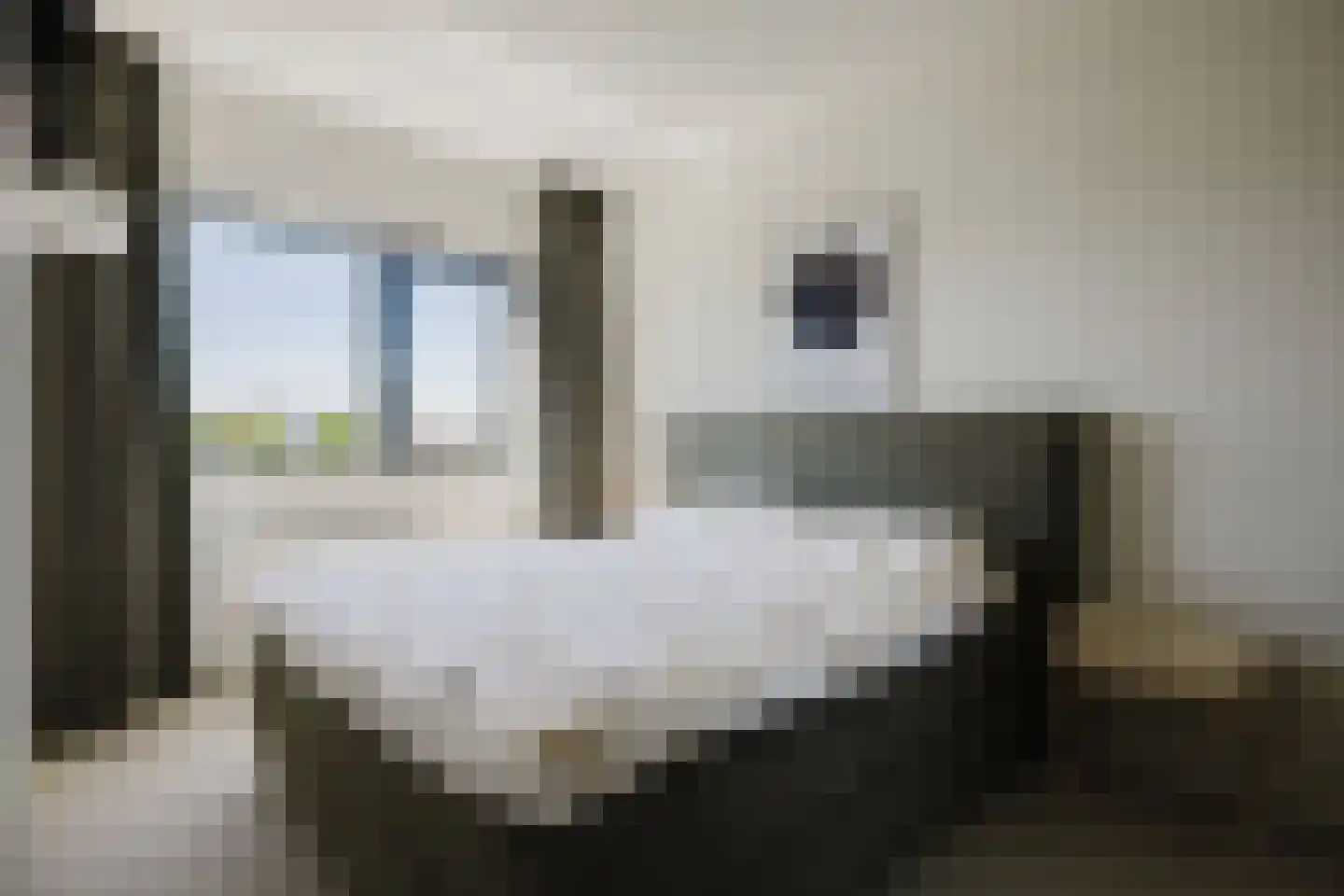 Oeverzwaluw 36 Goirle thumbnail 19