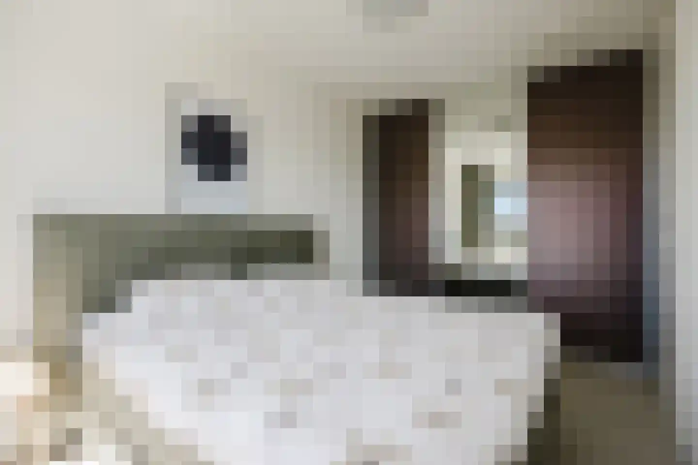 Oeverzwaluw 36 Goirle thumbnail 20