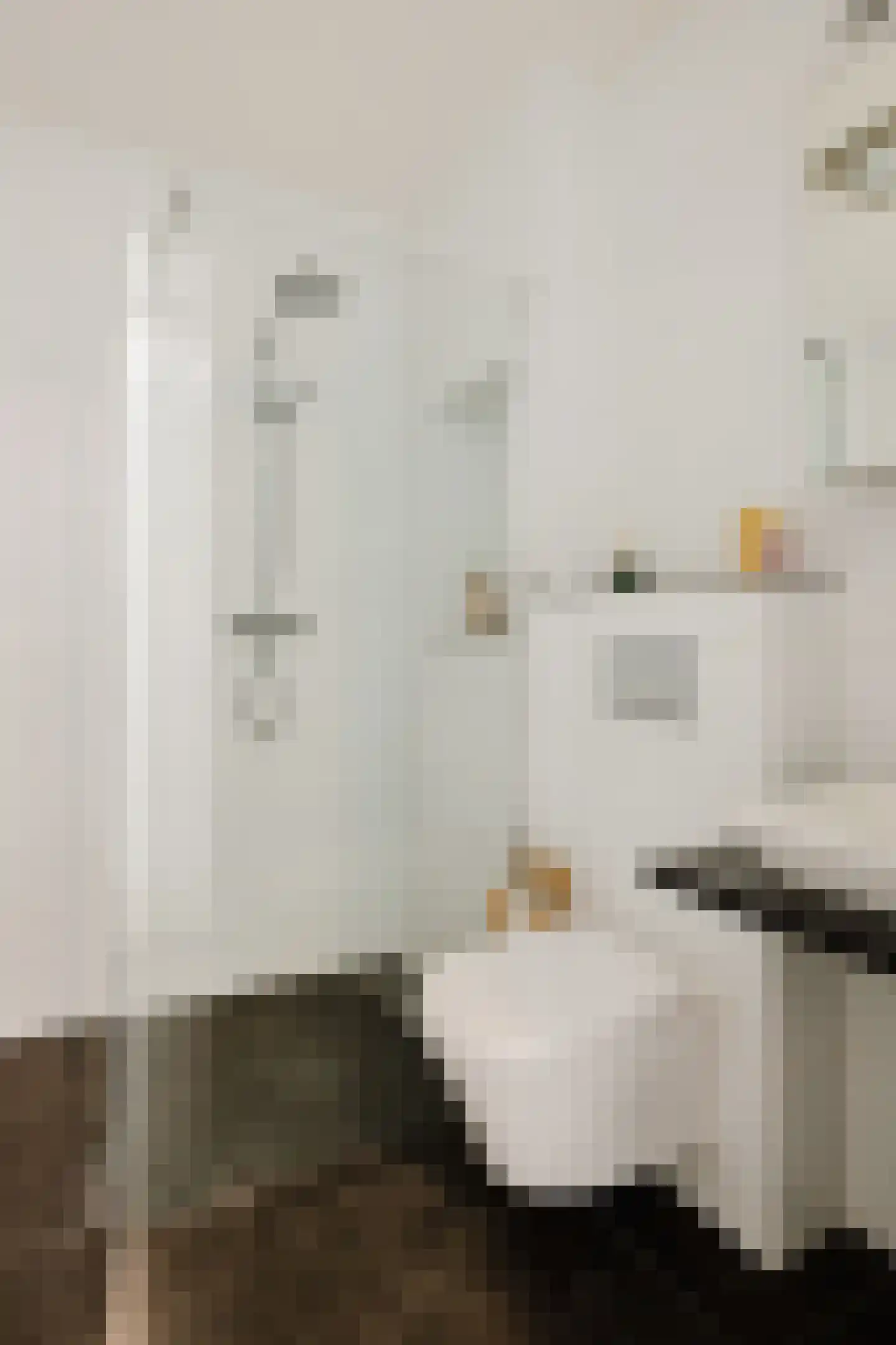 Oeverzwaluw 36 Goirle thumbnail 21