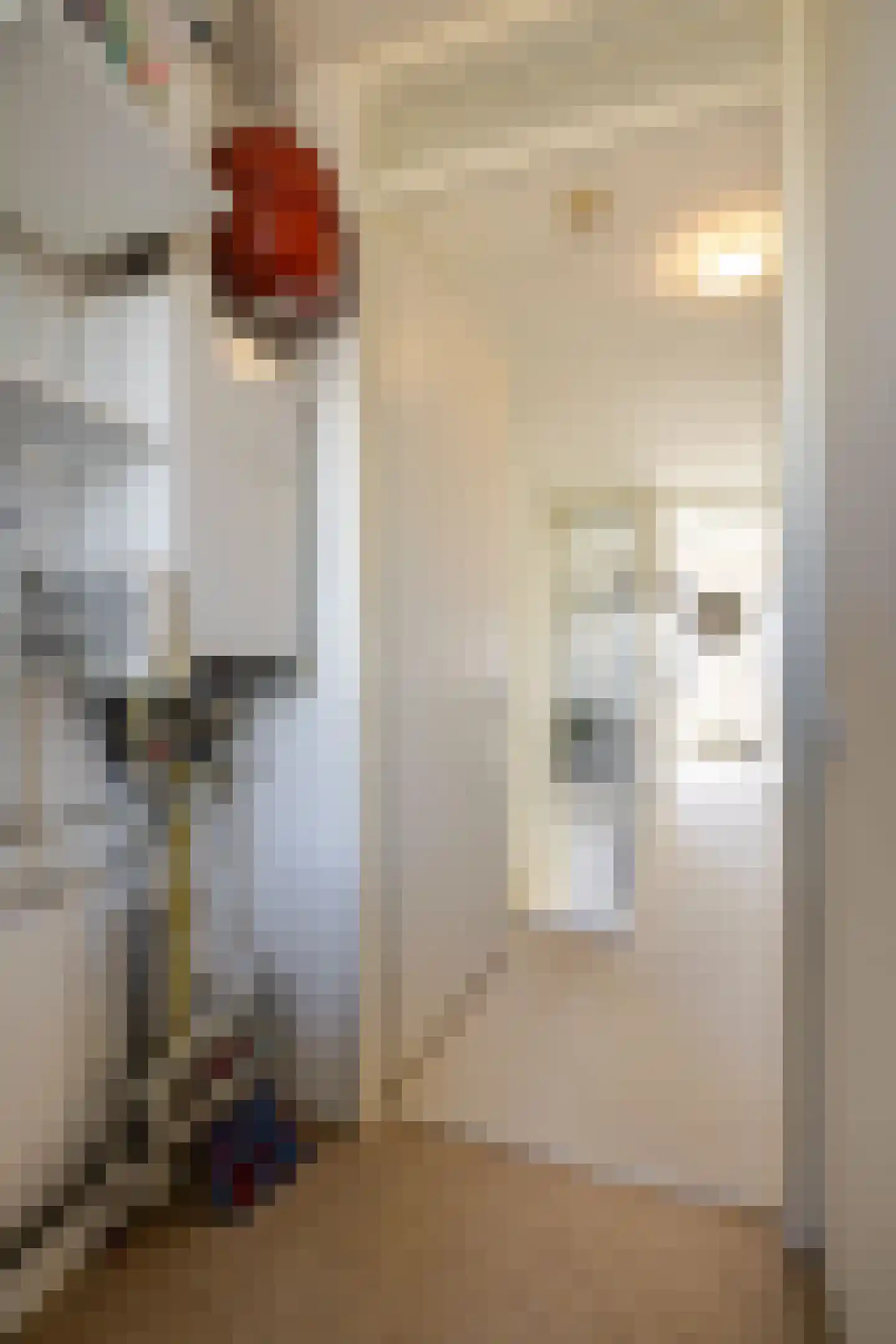 Oeverzwaluw 36 Goirle thumbnail 30