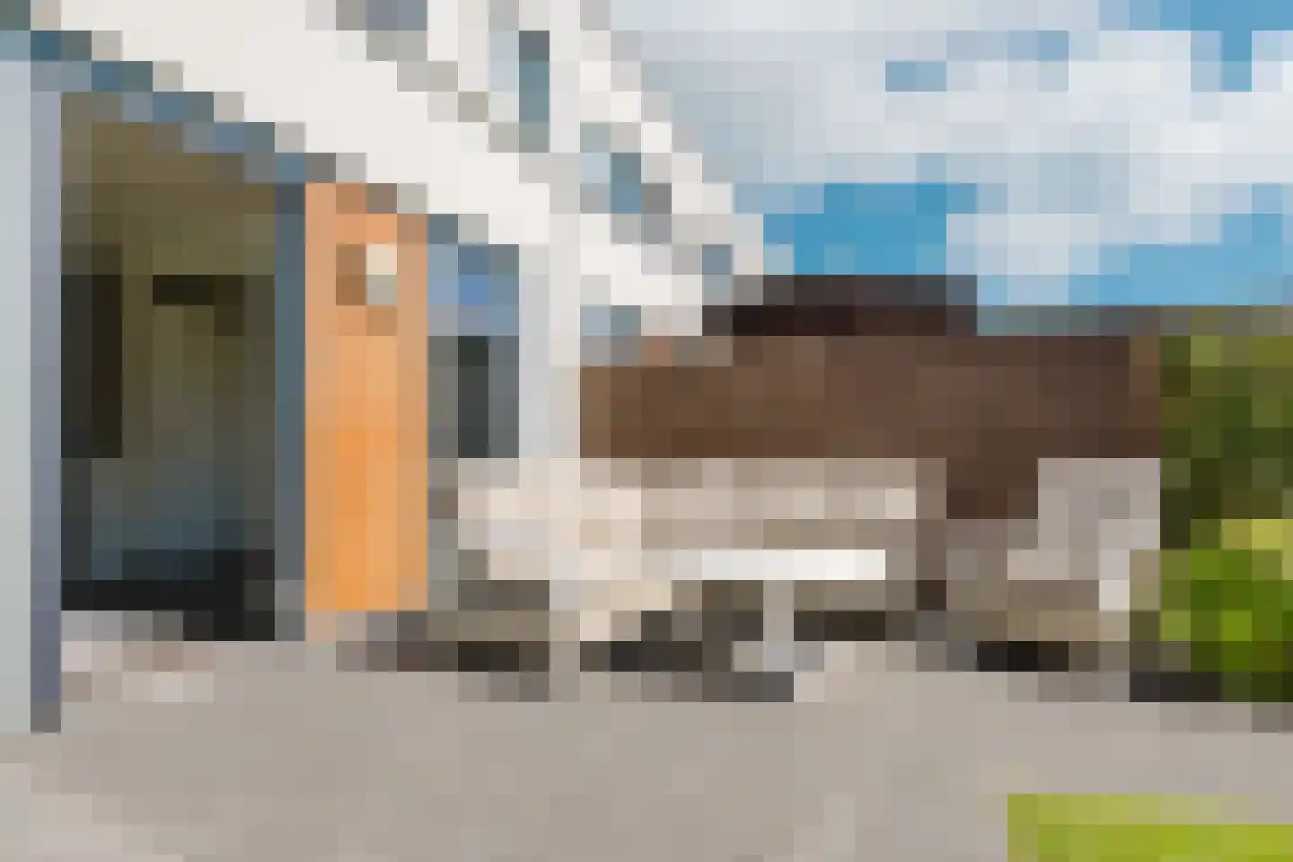 Oeverzwaluw 36 Goirle thumbnail 35