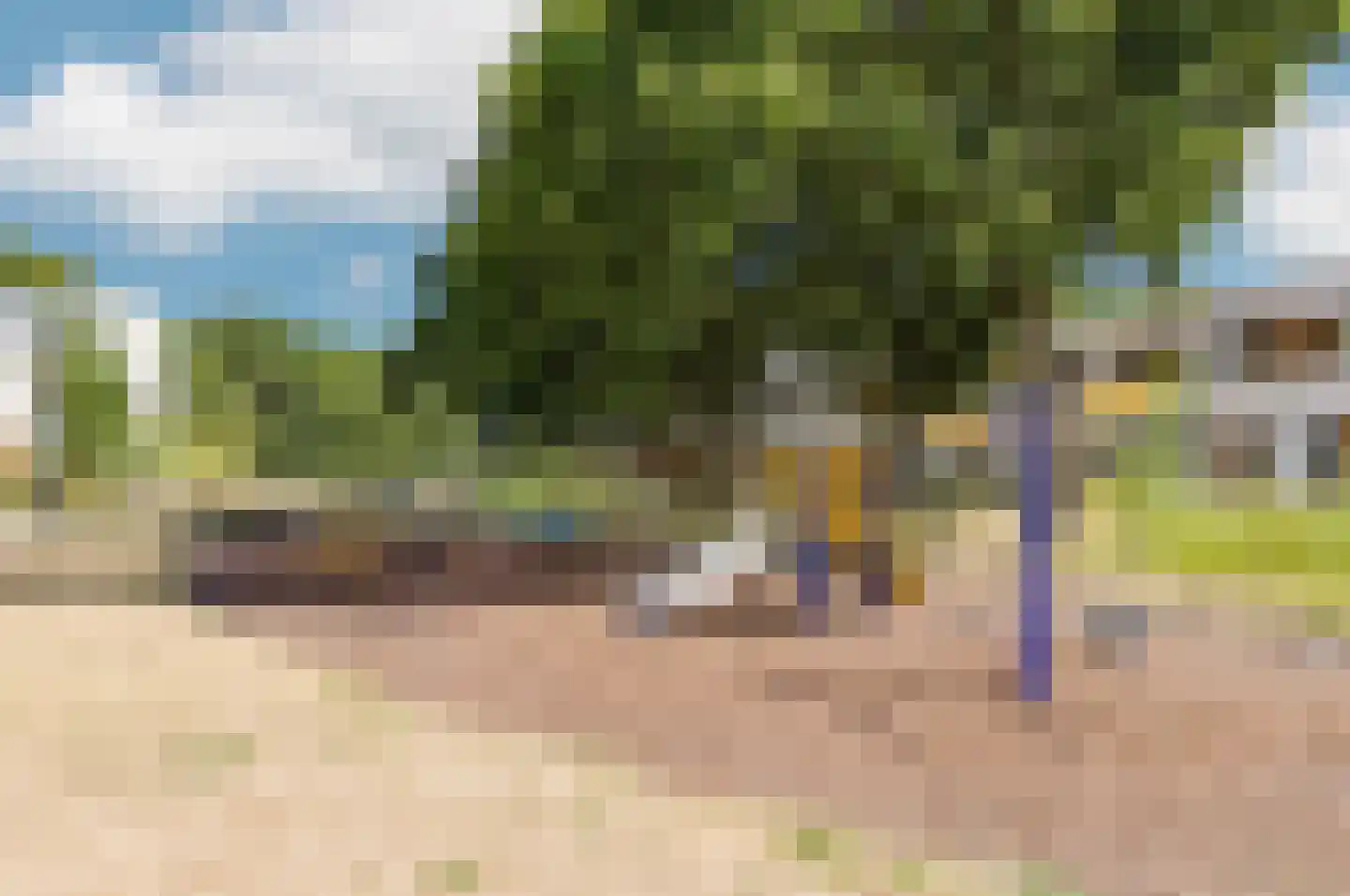 Oeverzwaluw 36 Goirle thumbnail 37