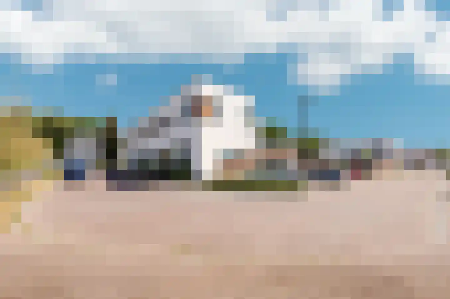 Oeverzwaluw 36 Goirle thumbnail 39