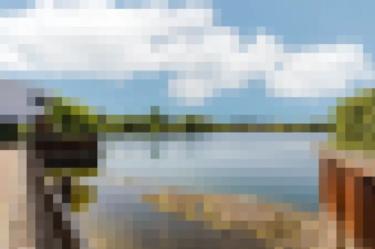 Oeverzwaluw 36 Goirle thumbnail 39