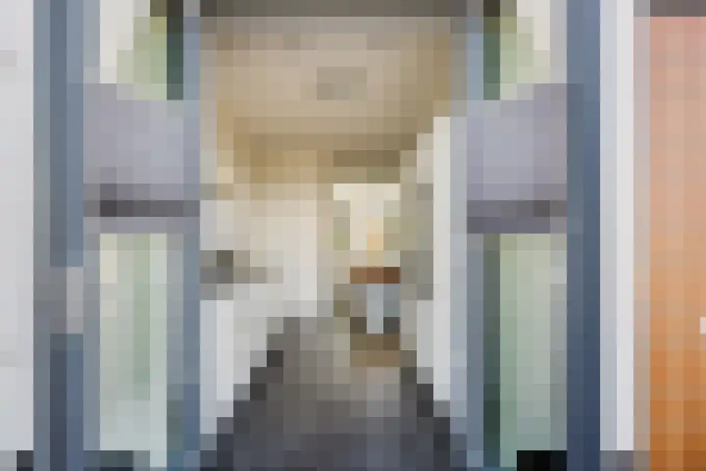 Oeverzwaluw 36 Goirle thumbnail 6