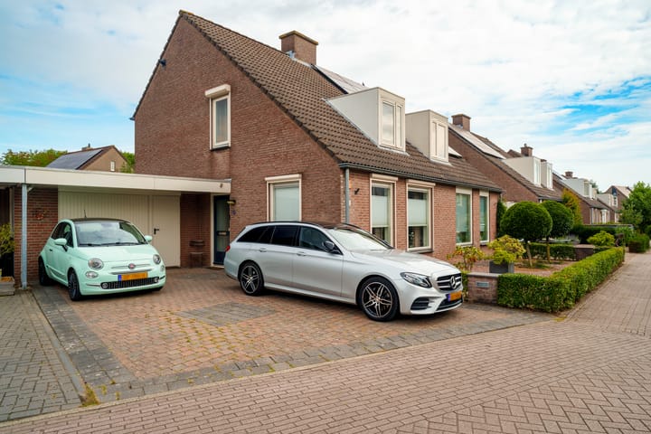 Oeverzwaluw 55 in 's-Hertogenbosch Foto