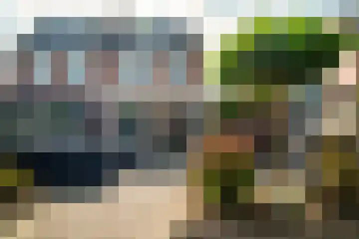 Oeverzwaluw 55 's-Hertogenbosch thumbnail 21