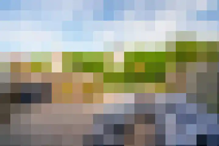 Oeverzwaluw 55 's-Hertogenbosch thumbnail 22