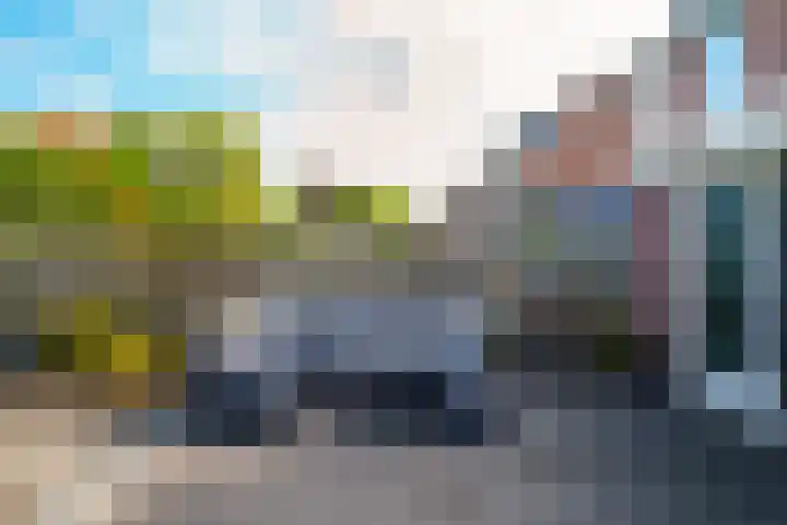 Oeverzwaluw 55 's-Hertogenbosch thumbnail 24