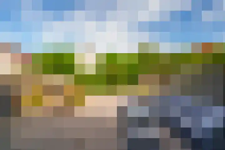 Oeverzwaluw 55 's-Hertogenbosch thumbnail 25