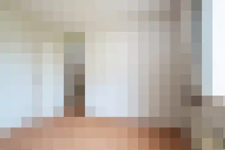 Oeverzwaluw 55 's-Hertogenbosch thumbnail 31