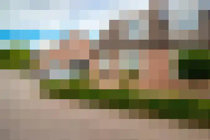 Oeverzwaluw 55 's-Hertogenbosch thumbnail 4