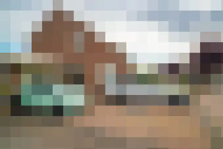 Oeverzwaluw 55 's-Hertogenbosch thumbnail 40