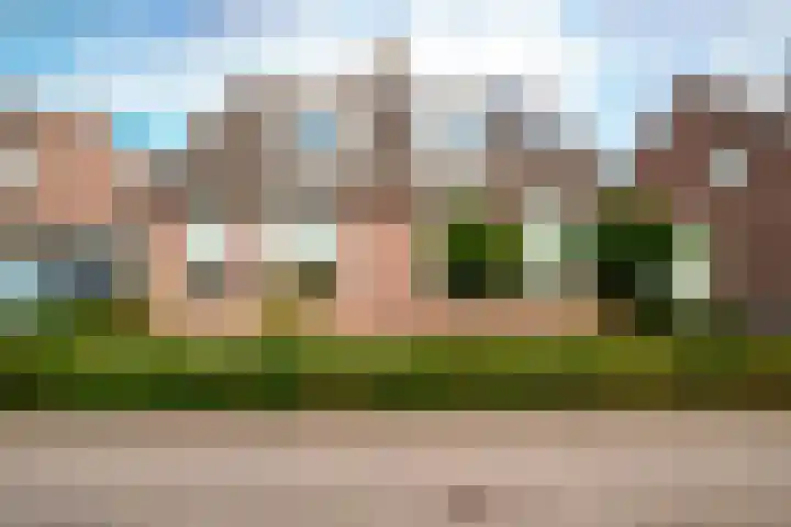 Oeverzwaluw 55 's-Hertogenbosch thumbnail 41