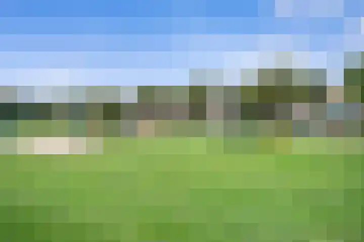 Oeverzwaluw 55 's-Hertogenbosch thumbnail 43
