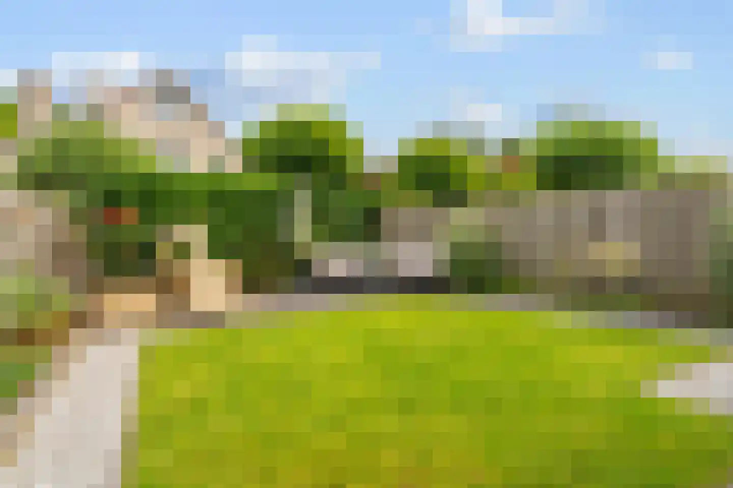 Oeverzwaluw 57 's-Hertogenbosch thumbnail 16