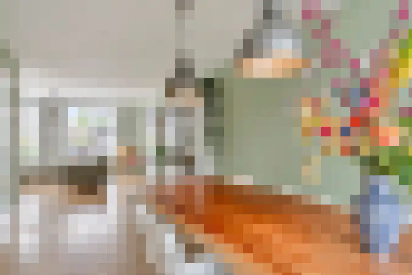 Oeverzwaluw 57 's-Hertogenbosch thumbnail 8