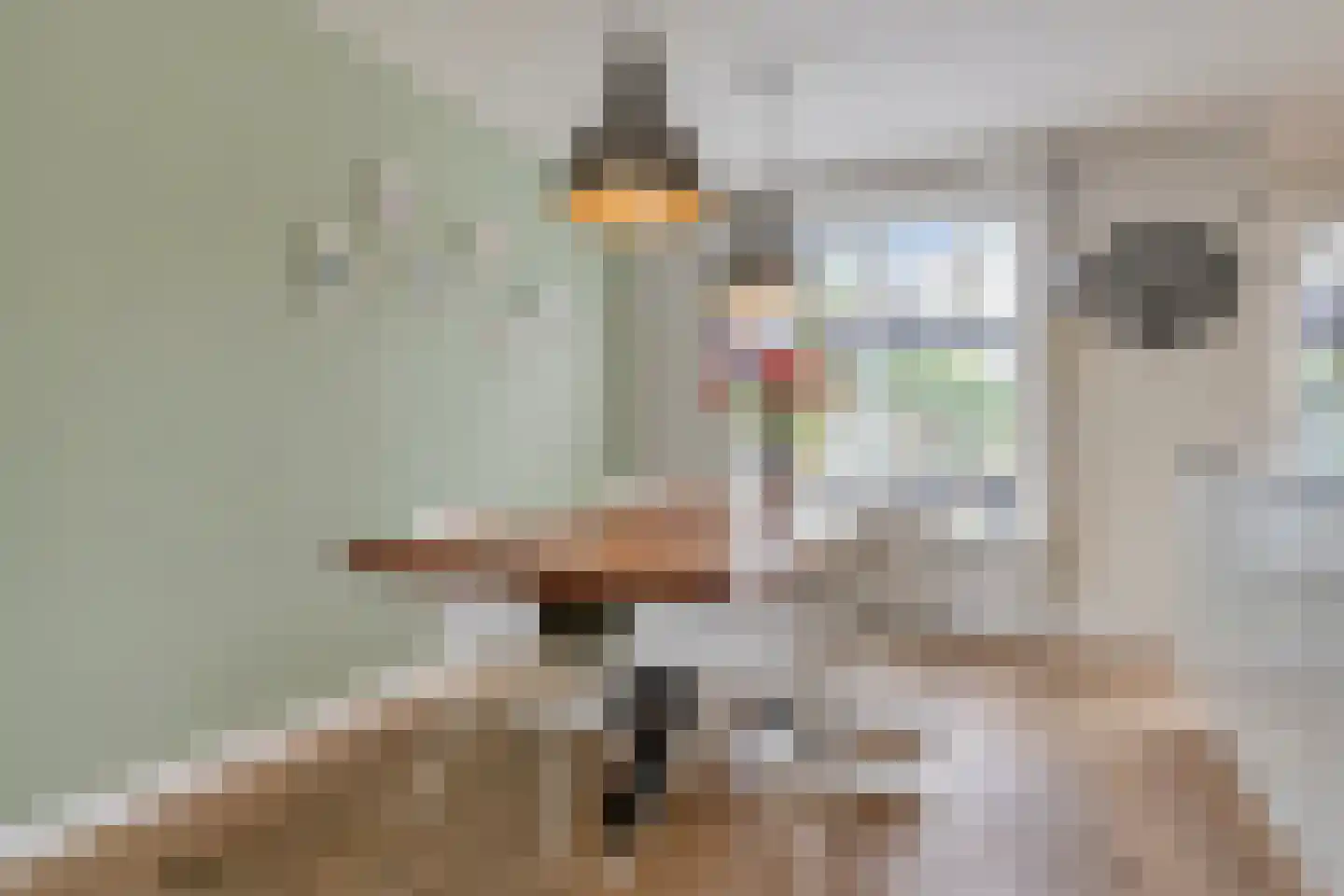 Oeverzwaluw 57 's-Hertogenbosch thumbnail 9