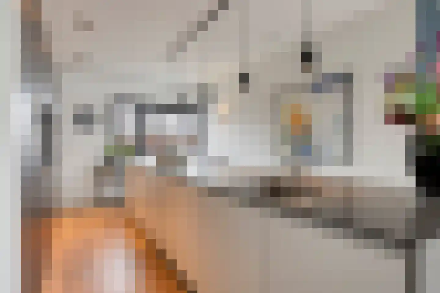 Oeverzwaluw 7 Goirle thumbnail 14