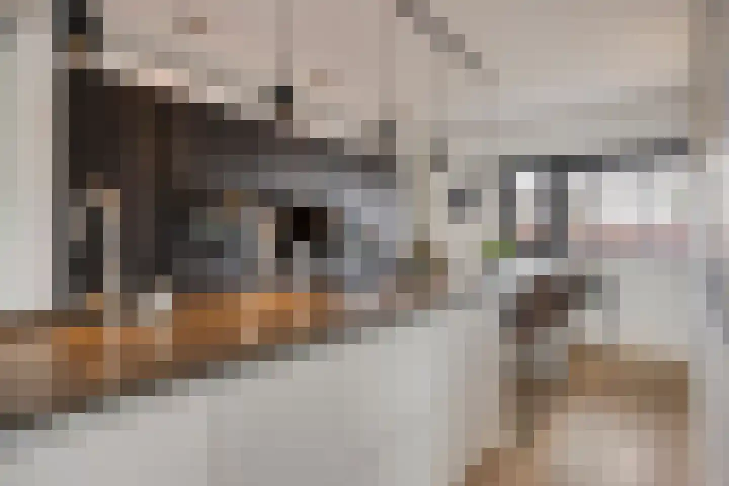 Oeverzwaluw 7 Goirle thumbnail 16