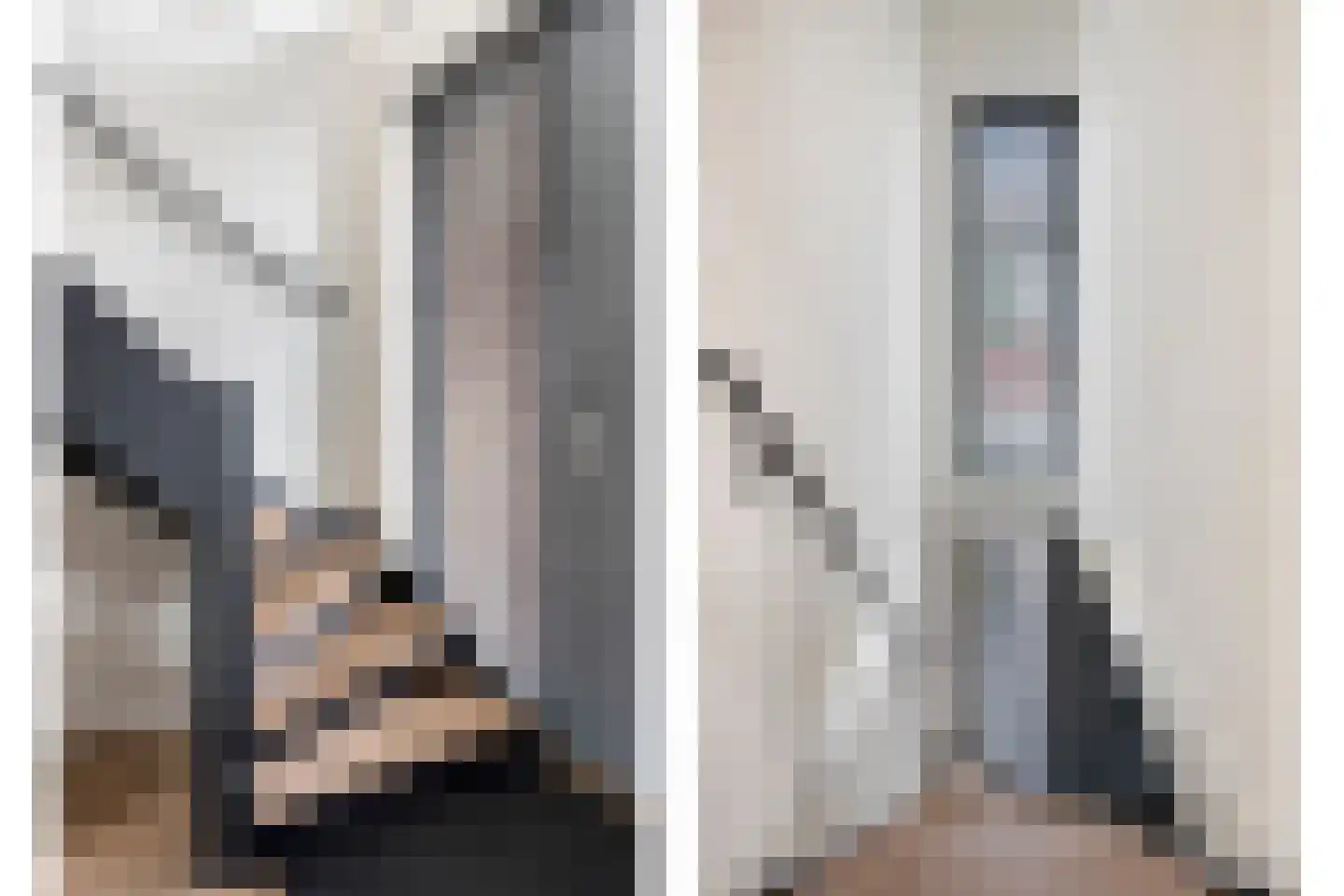 Oeverzwaluw 7 Goirle thumbnail 19