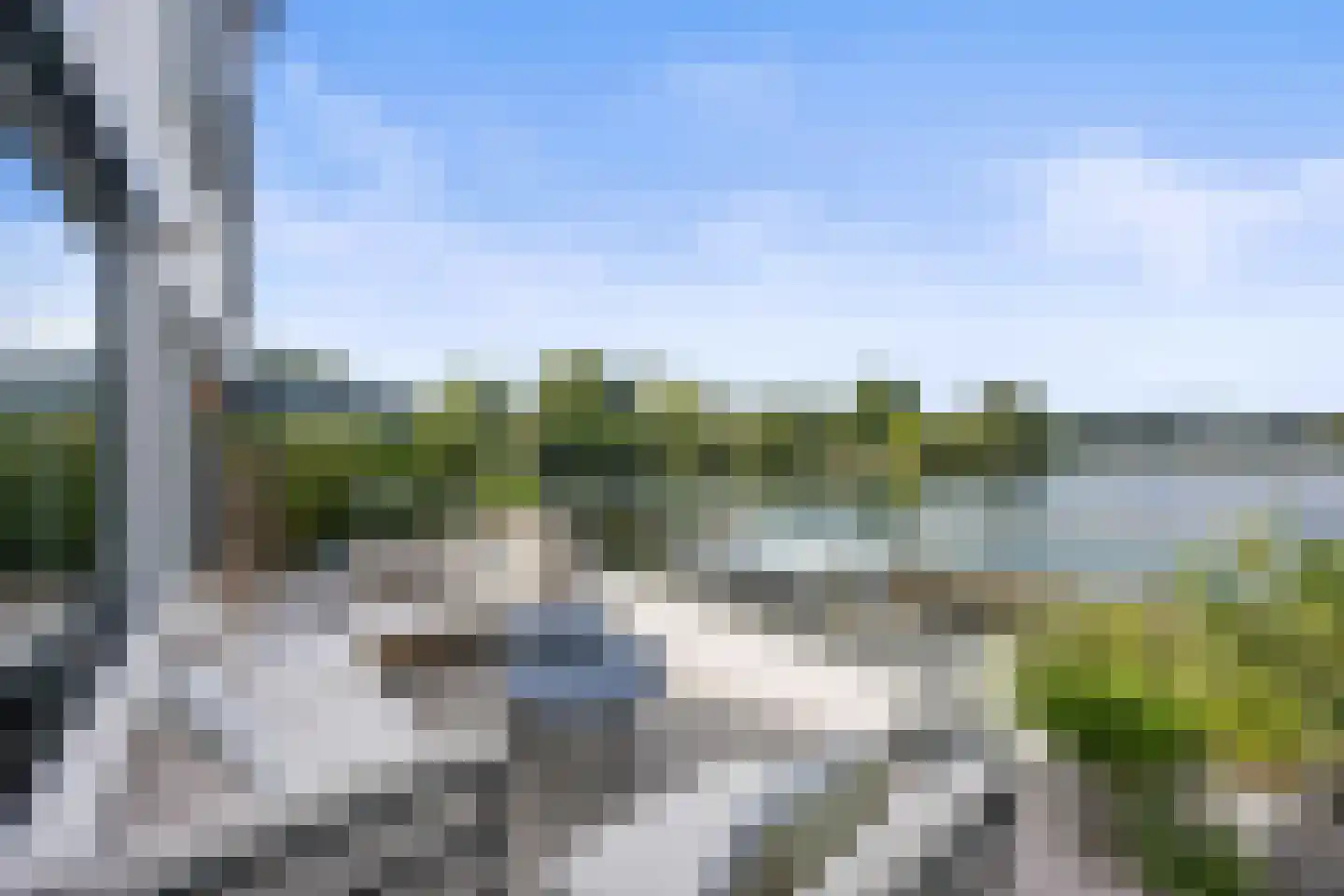 Oeverzwaluw 7 Goirle foto 2