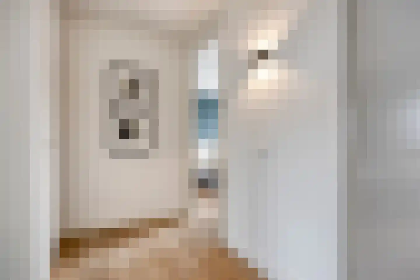 Oeverzwaluw 7 Goirle thumbnail 21
