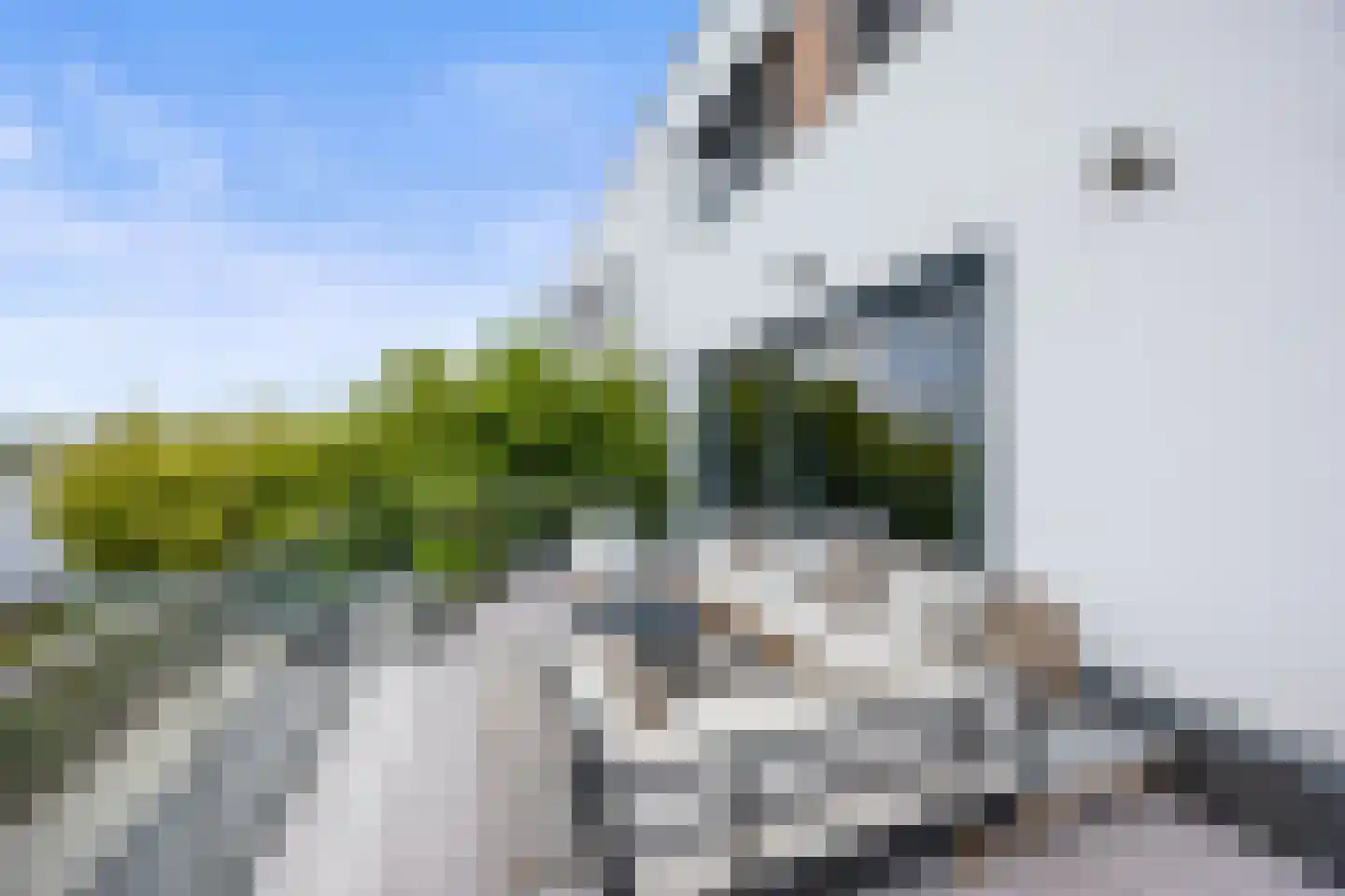 Oeverzwaluw 7 Goirle thumbnail 38