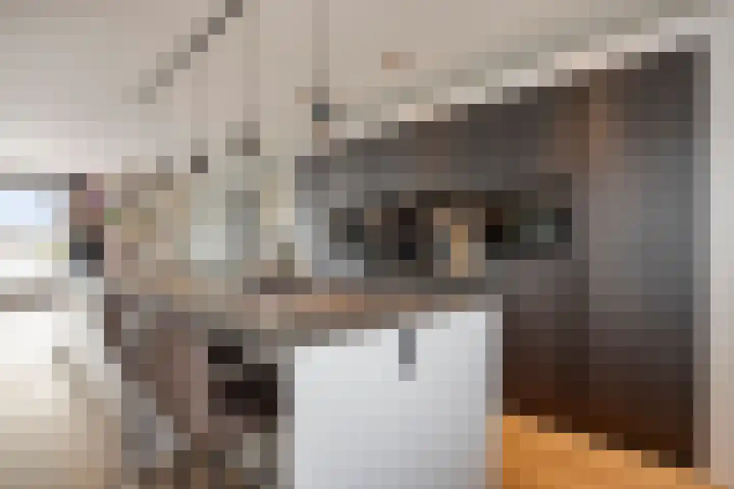 Oeverzwaluw 7 Goirle thumbnail 4