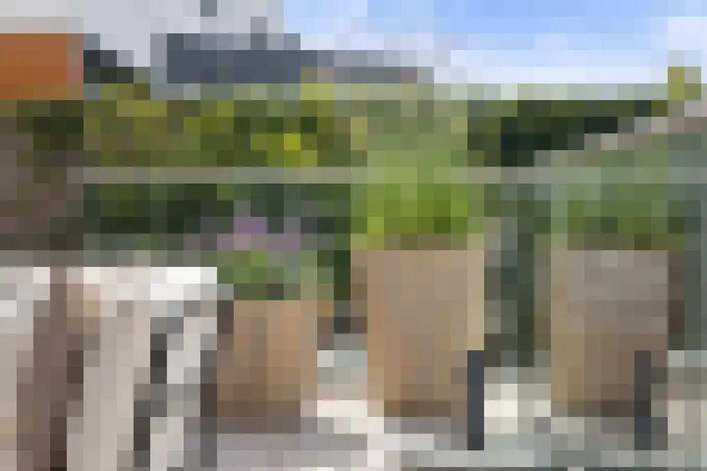 Oeverzwaluw 7 Goirle thumbnail 40