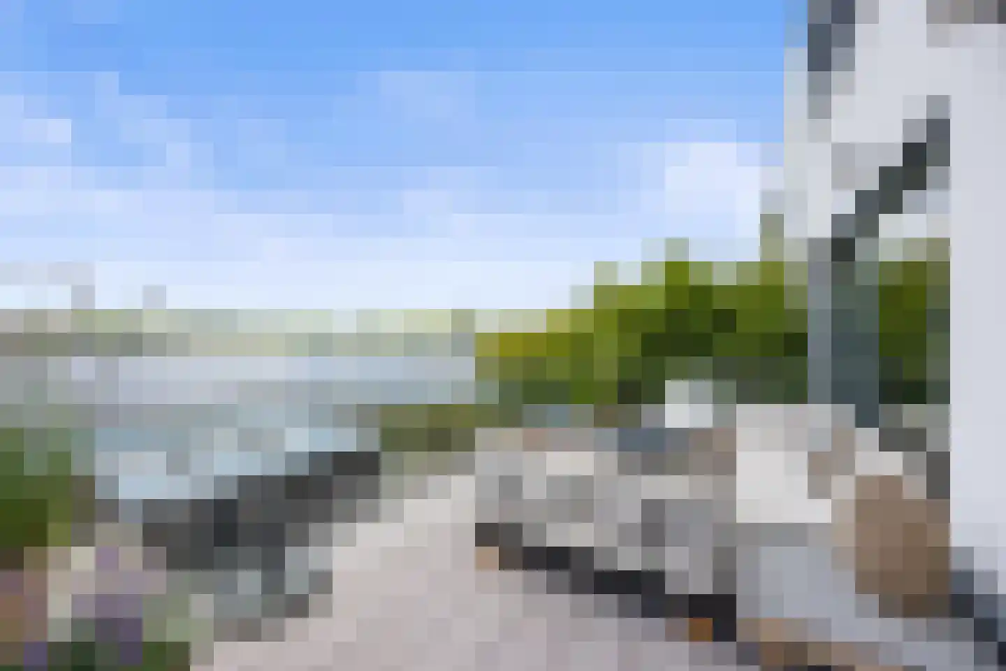 Oeverzwaluw 7 Goirle thumbnail 41