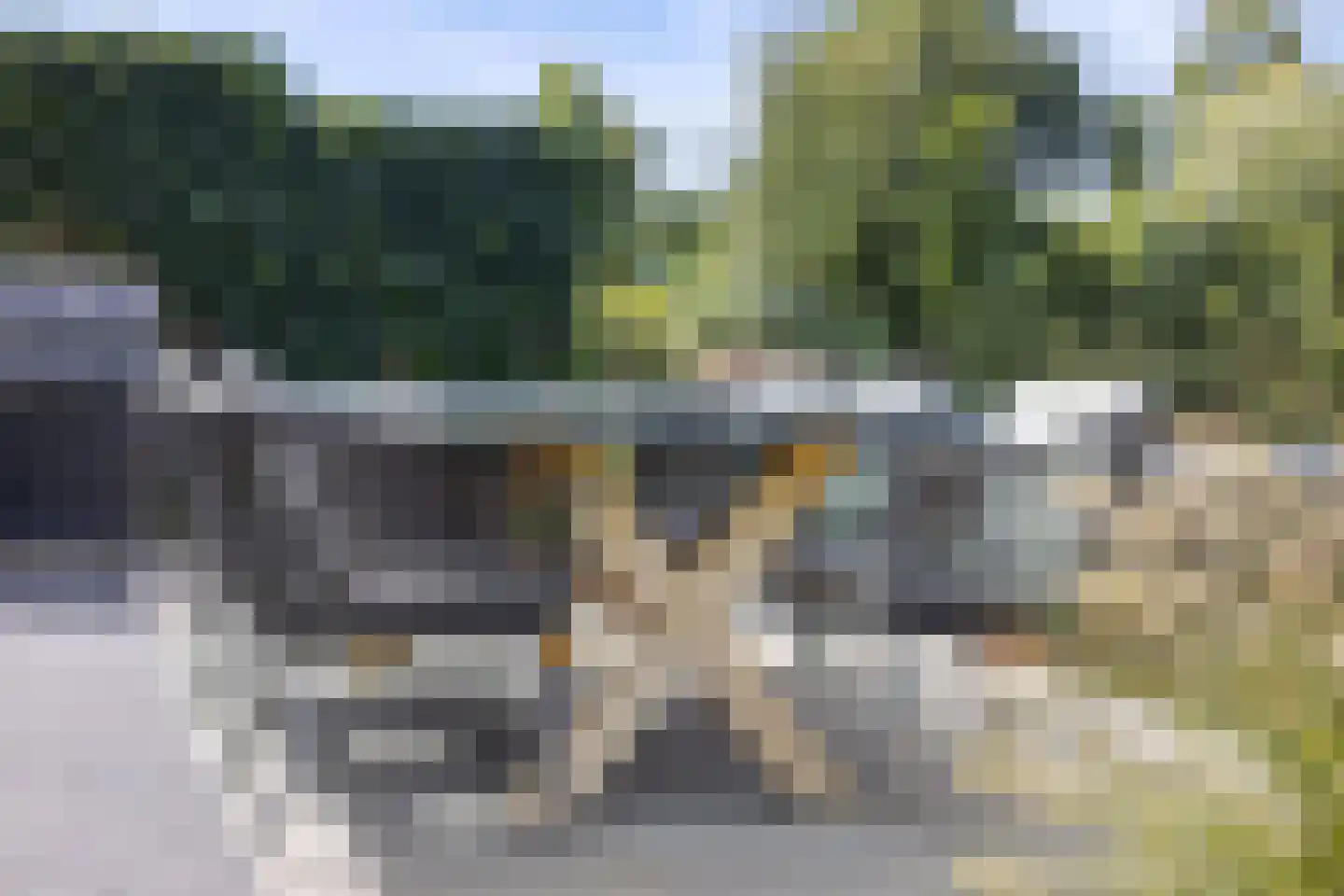Oeverzwaluw 7 Goirle thumbnail 44