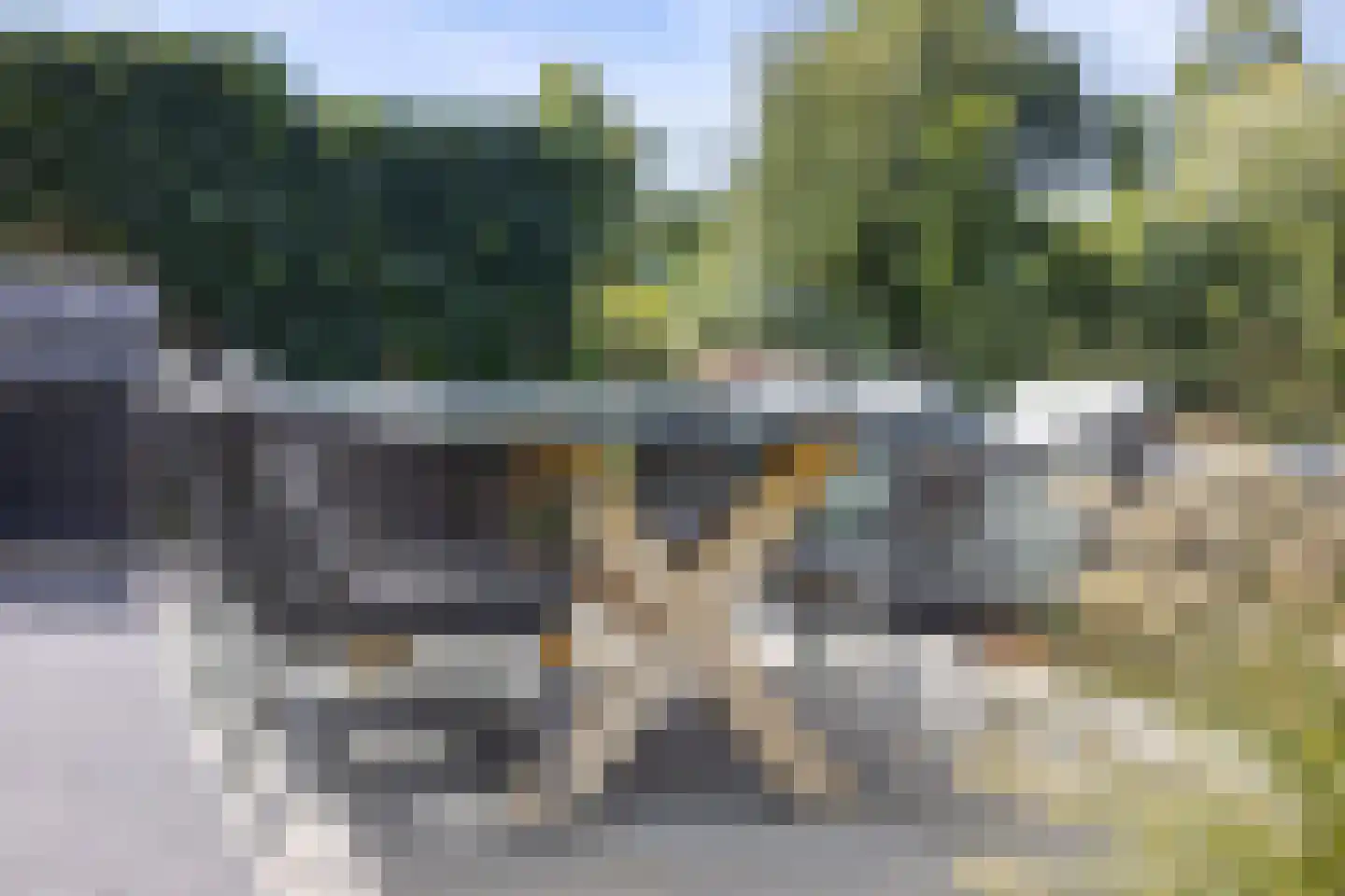 Oeverzwaluw 7 Goirle thumbnail 44