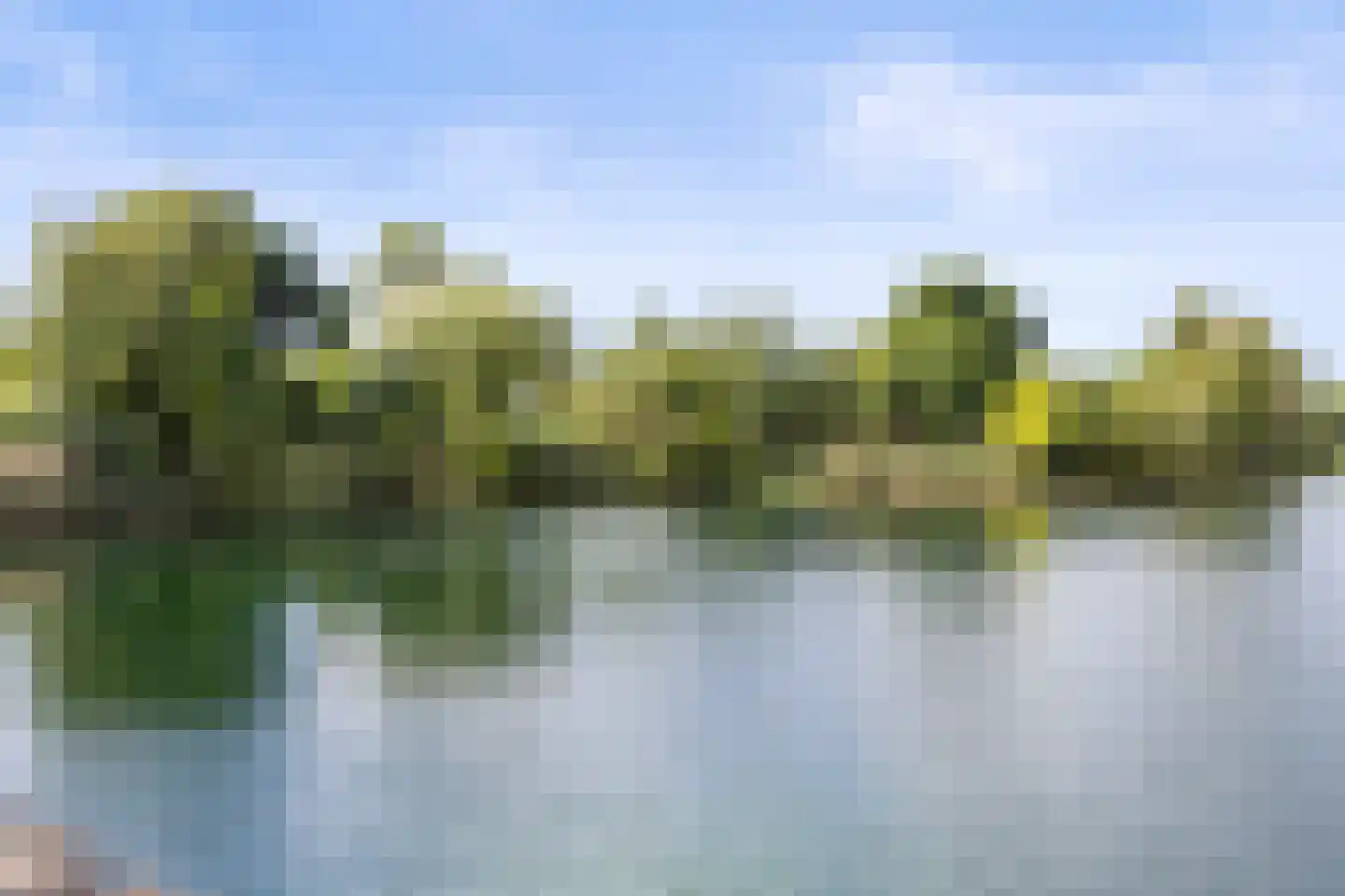 Oeverzwaluw 7 Goirle thumbnail 45