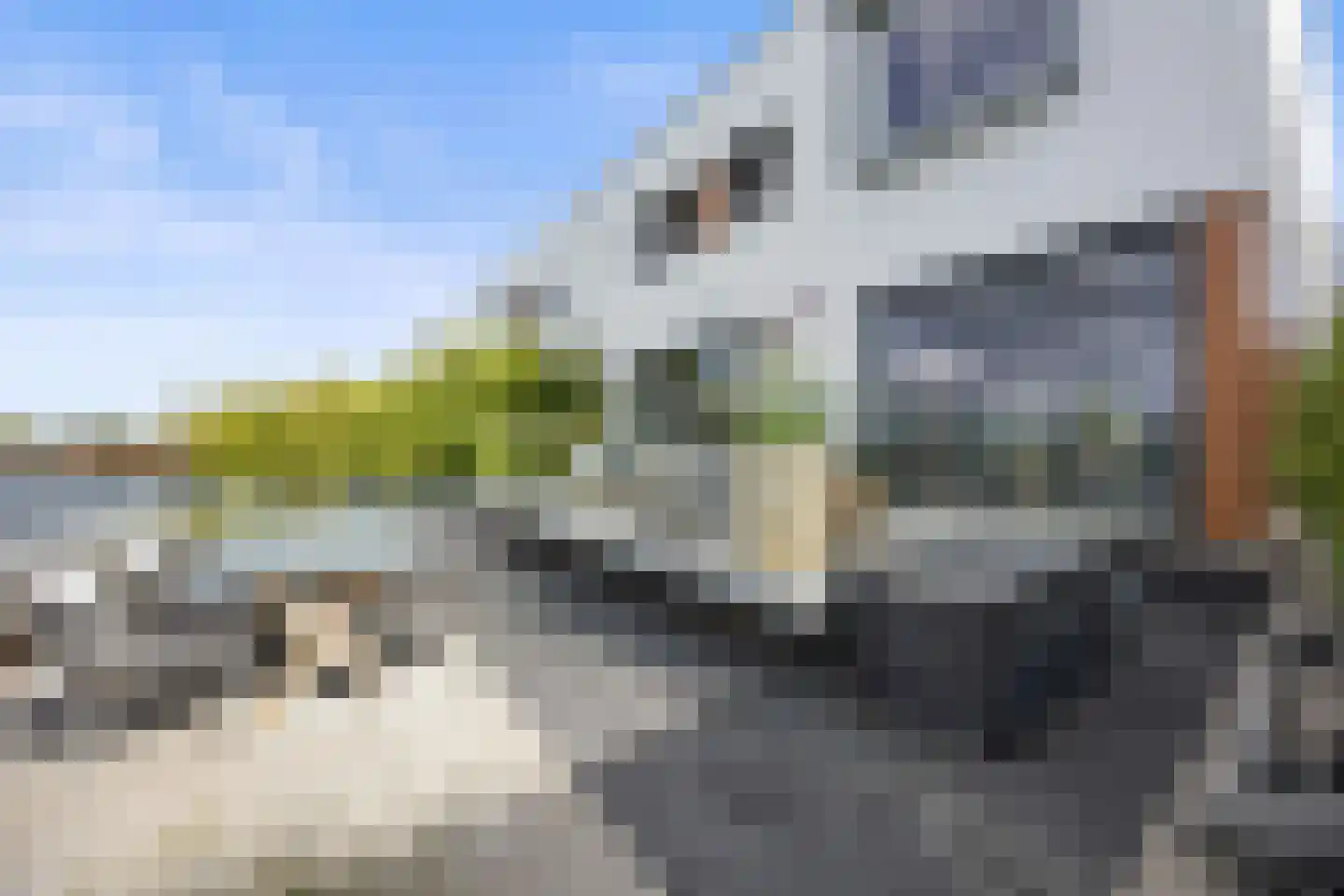 Oeverzwaluw 7 Goirle thumbnail 46
