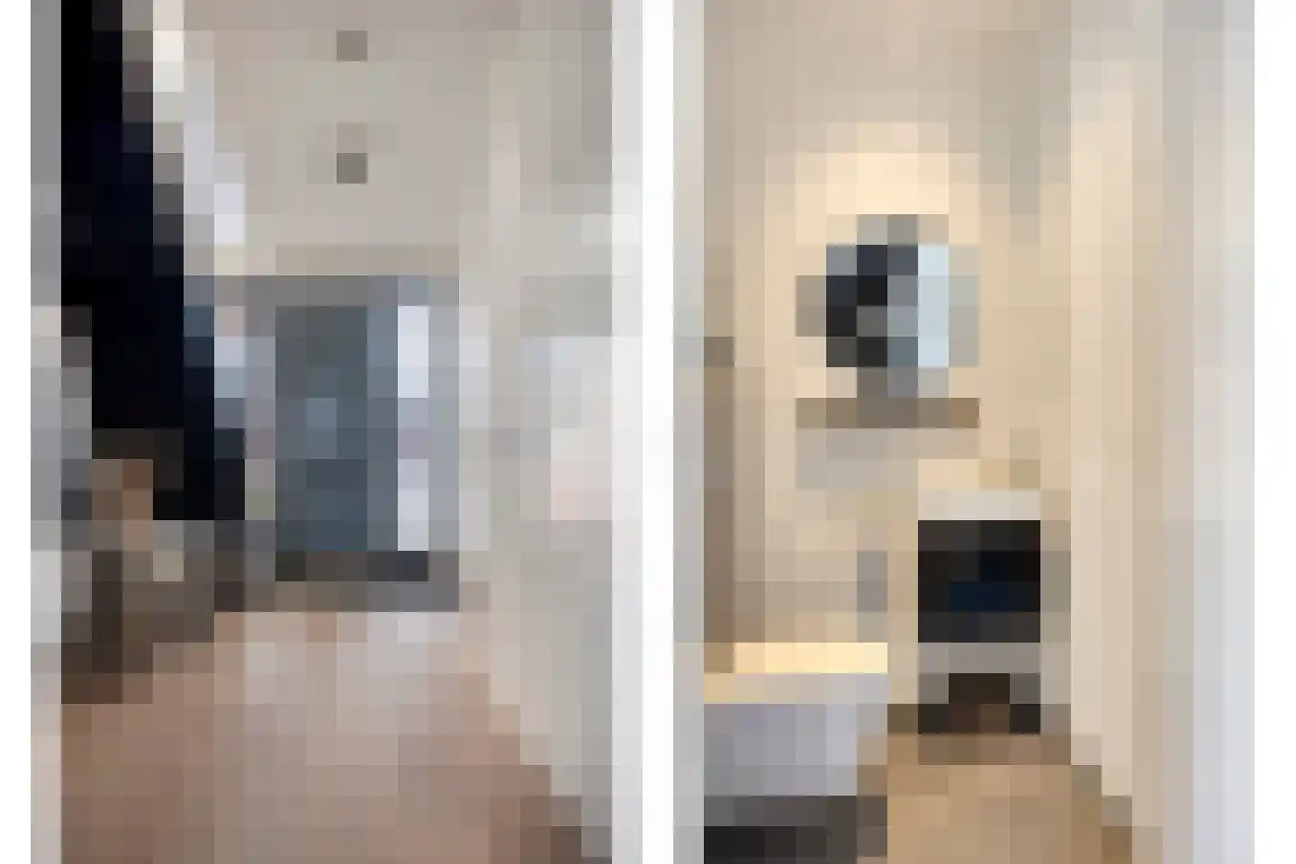 Oeverzwaluw 7 Goirle thumbnail 6