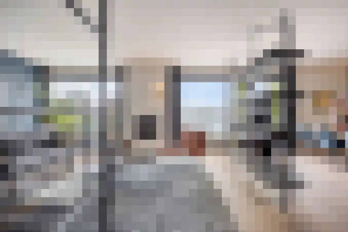 Oeverzwaluw 7 Goirle thumbnail 7