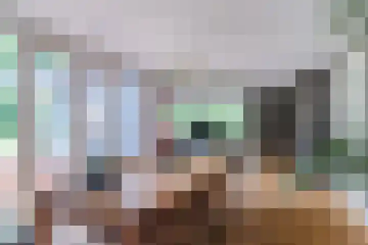 Oeyenbos 16 Knegsel thumbnail 20