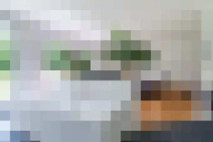 Oeyenbos 16 Knegsel thumbnail 30