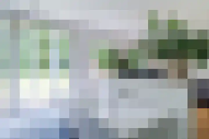 Oeyenbos 16 Knegsel thumbnail 31