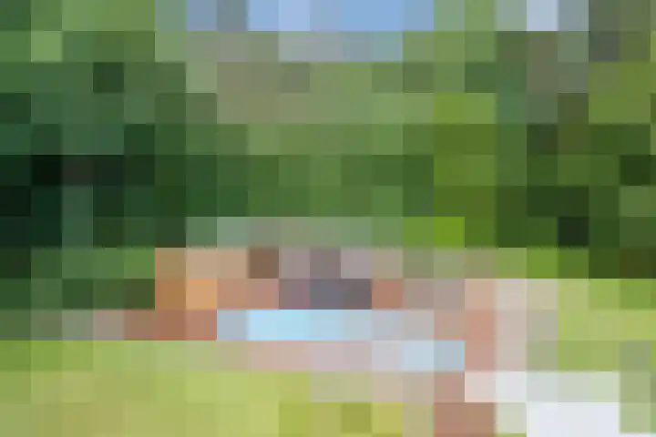 Oeyenbos 16 Knegsel thumbnail 39
