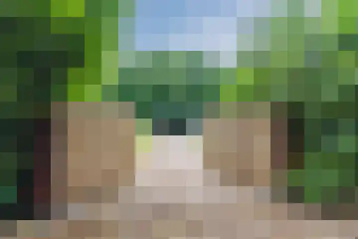 Oeyenbos 16 Knegsel thumbnail 4