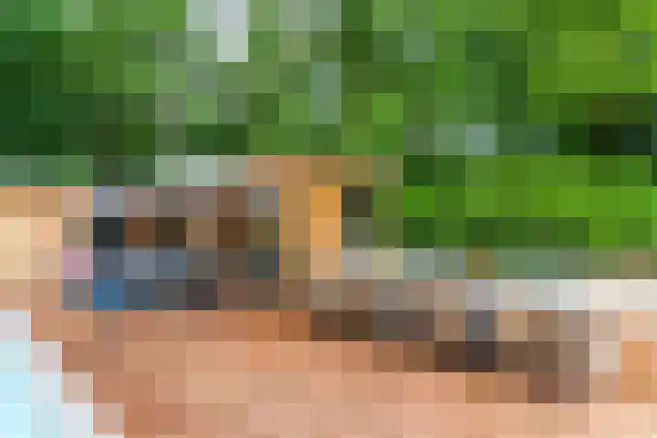 Oeyenbos 16 Knegsel thumbnail 42